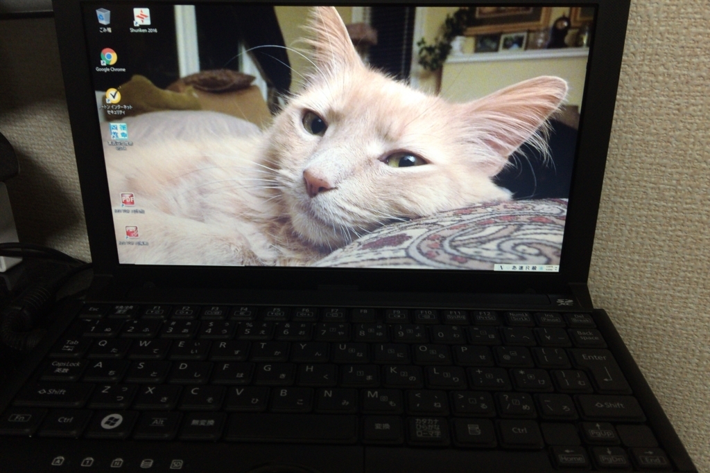 f:id:happycome_hogetsu:20171106073952j:plain