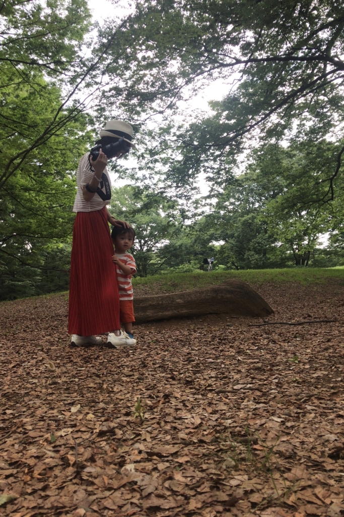 f:id:happycome_hogetsu:20180610005407j:plain