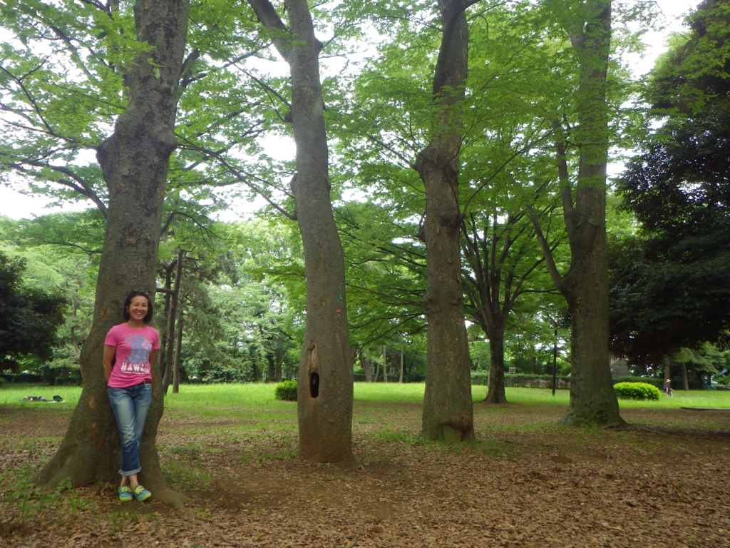 f:id:happycome_hogetsu:20180610005555j:plain