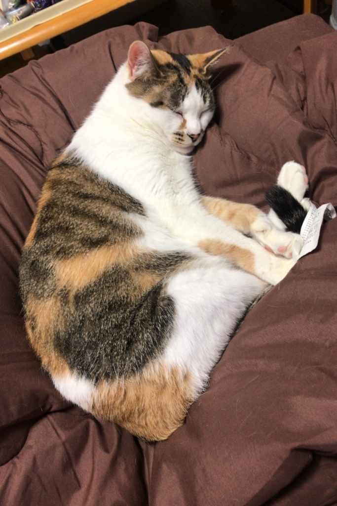 f:id:happycome_hogetsu:20180819214639j:plain f:id:happycome_hogetsu:20180819214639j:plain