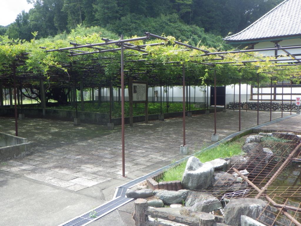 f:id:happycome_hogetsu:20180826002941j:plain f:id:happycome_hogetsu:20180826002941j:plain