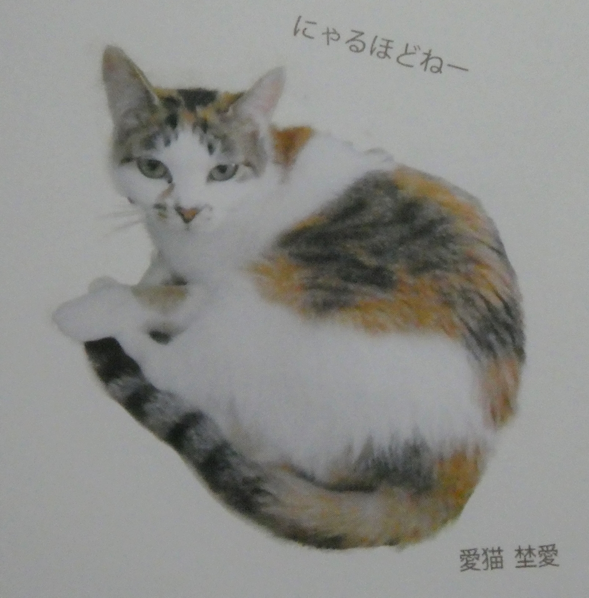 f:id:happycome_hogetsu:20200606015025j:plain f:id:happycome_hogetsu:20200606015025j:plain