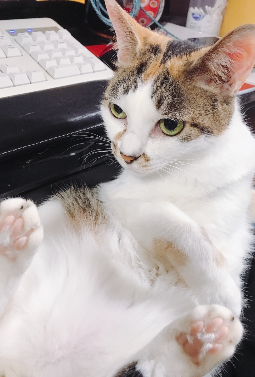 f:id:happycome_hogetsu:20200922231723j:plain