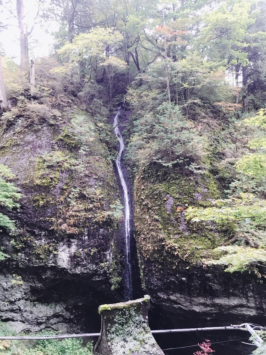 f:id:happycome_hogetsu:20201020223258j:plain