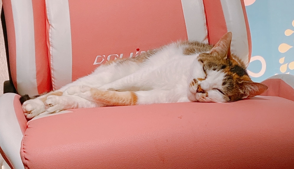 f:id:happycome_hogetsu:20210518020125j:plain