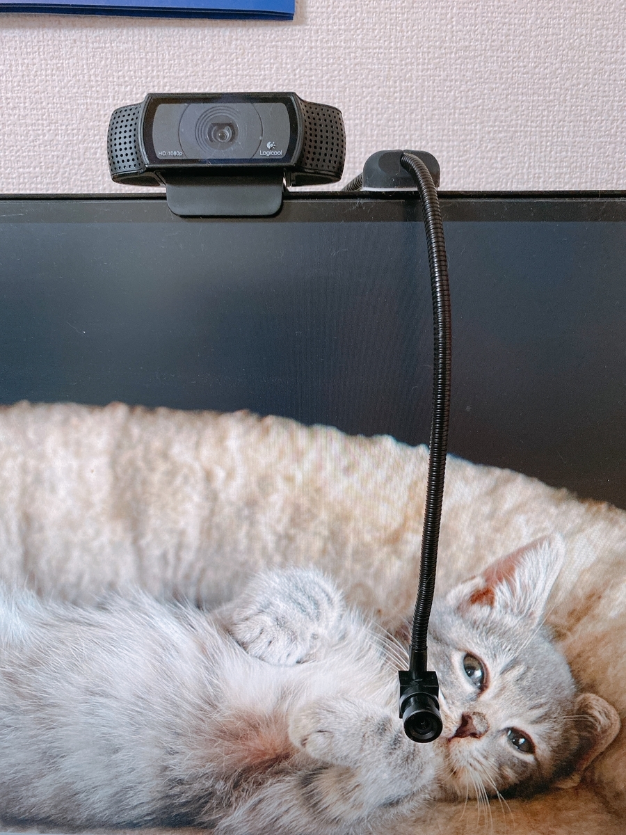 f:id:happycome_hogetsu:20211025004258j:plain