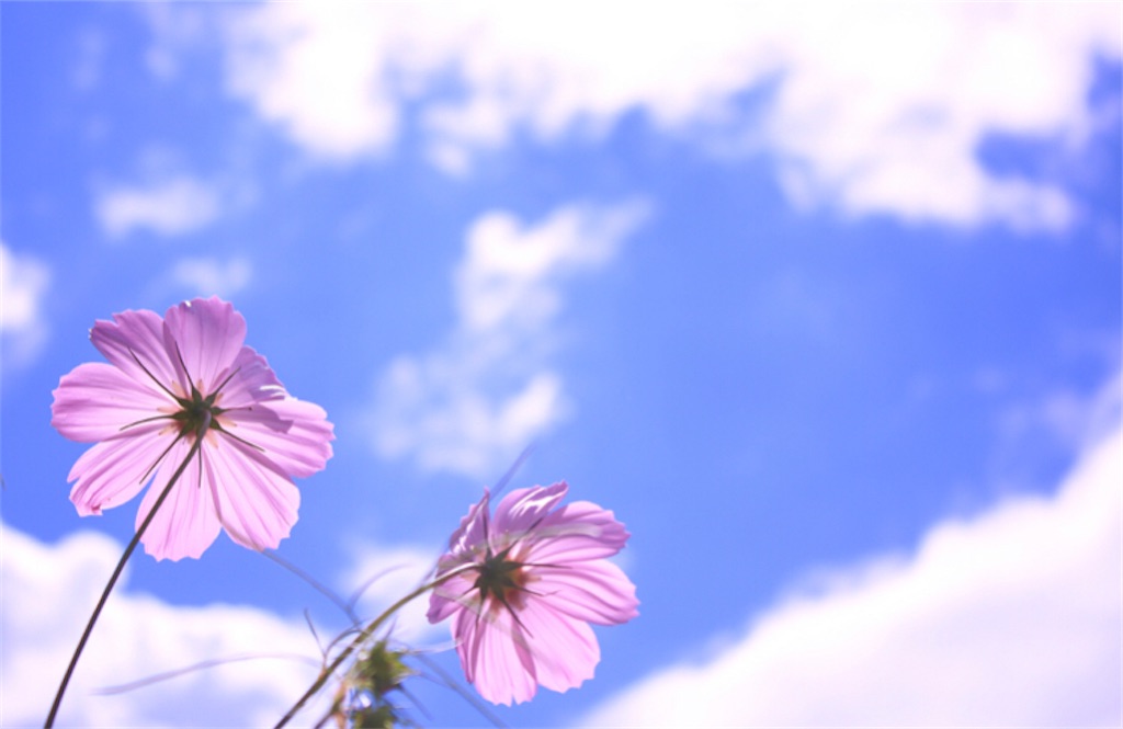 f:id:happyday02:20210614102556j:image