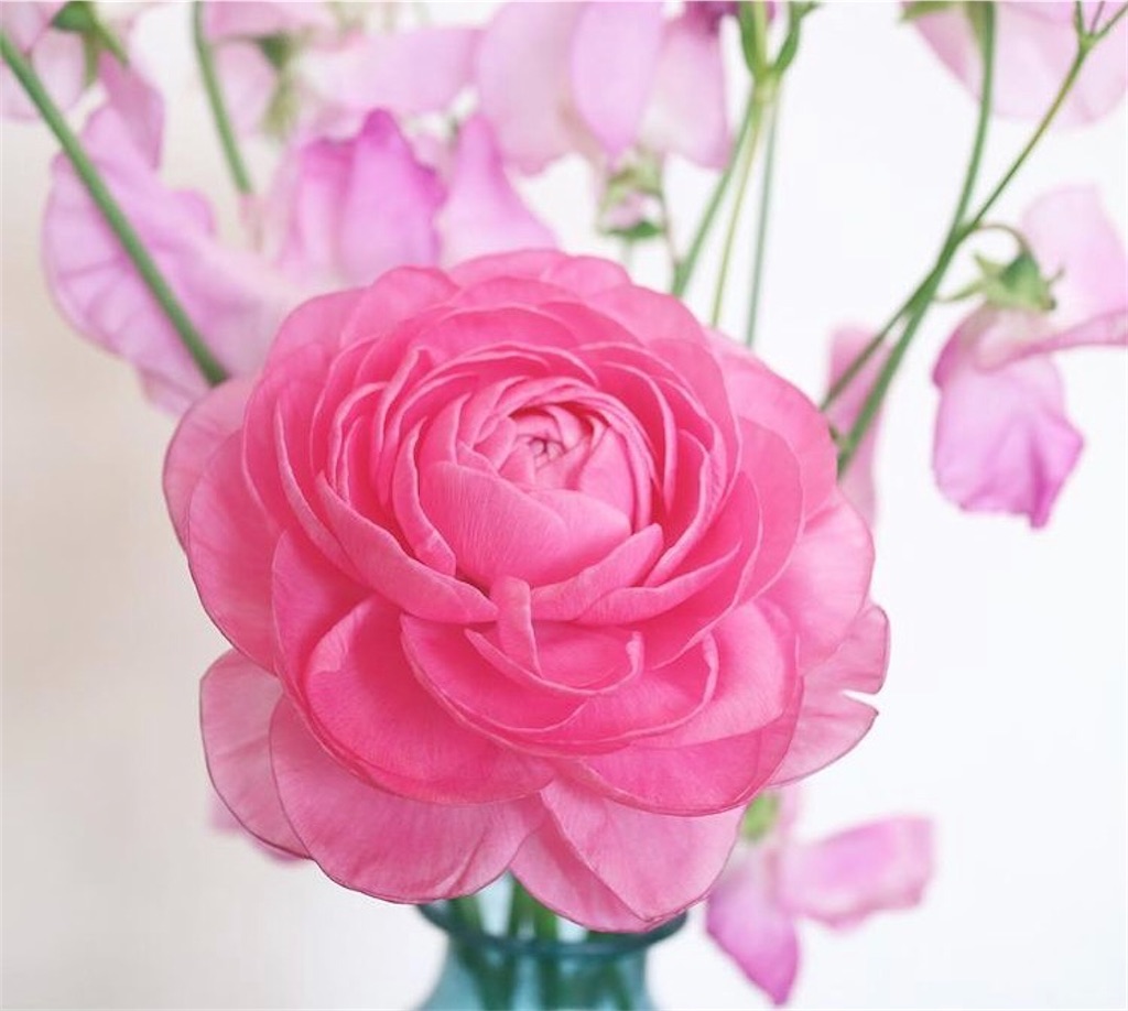 f:id:happyday02:20210618175620j:image