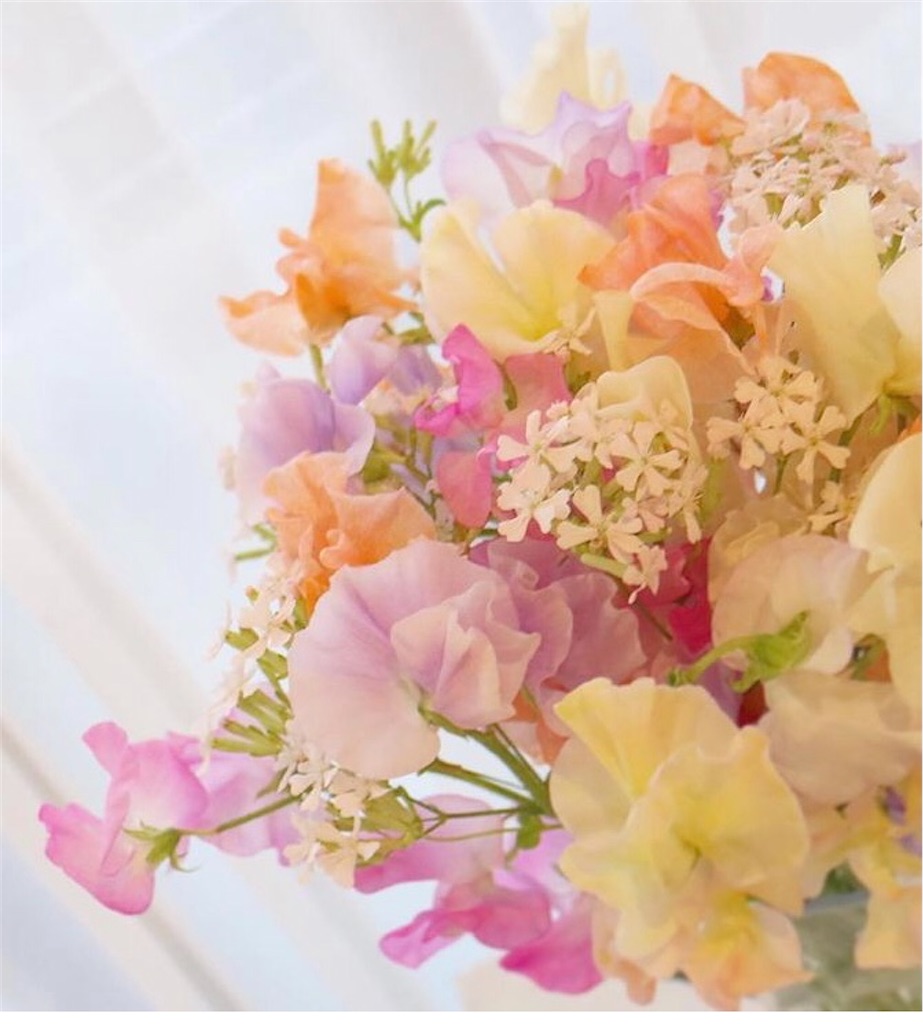 f:id:happyday02:20210619105811j:image