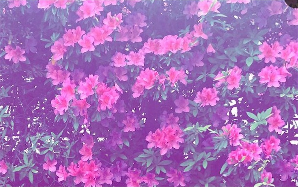 f:id:happyday02:20210620110754j:image