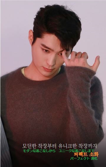 f:id:happydongsukday:20190310212447j:plain