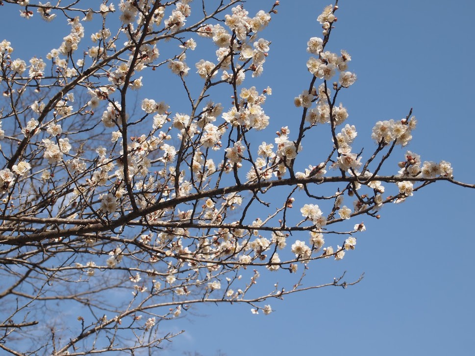 f:id:happydust:20160921224749j:plain f:id:happydust:20160921224749j:plain