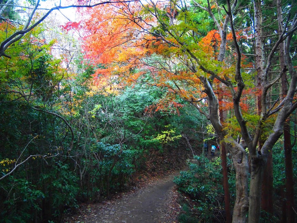 f:id:happydust:20160921230226j:plain f:id:happydust:20160921230226j:plain