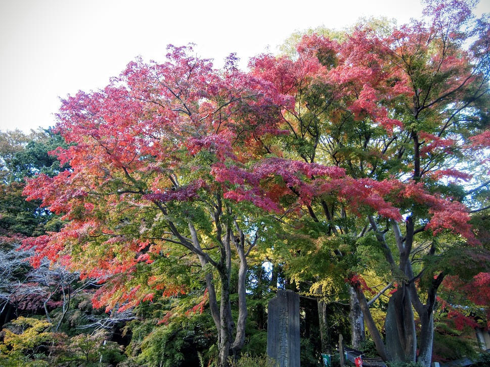 f:id:happydust:20160921230507j:plain f:id:happydust:20160921230507j:plain