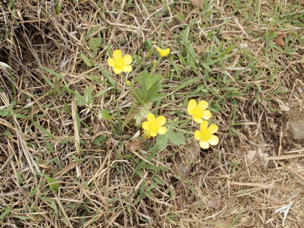 f:id:happydust:20160921230623j:plain f:id:happydust:20160921230623j:plain