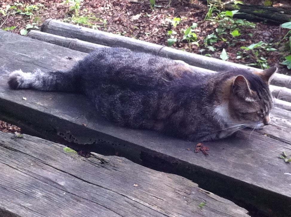 f:id:happydust:20160922232524j:plain