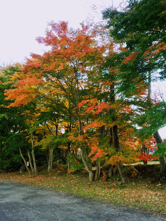 f:id:happydust:20161124011606j:plain f:id:happydust:20161124011606j:plain