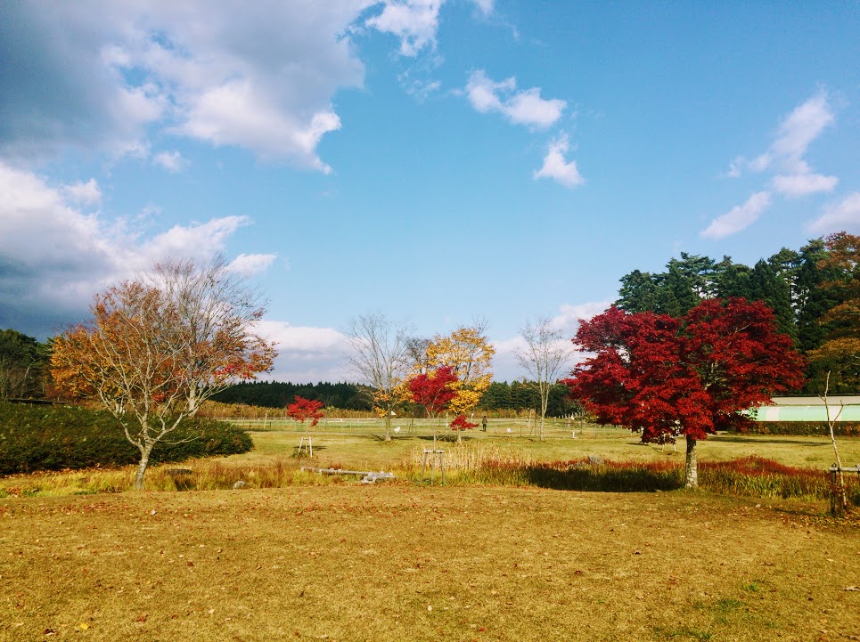 f:id:happydust:20161124025850j:plain f:id:happydust:20161124025850j:plain