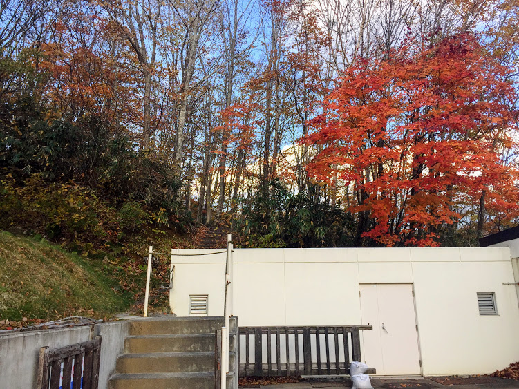 f:id:happydust:20161126211523j:plain f:id:happydust:20161126211523j:plain