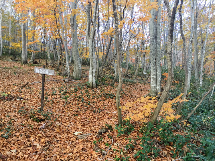 f:id:happydust:20161126211605j:plain f:id:happydust:20161126211605j:plain