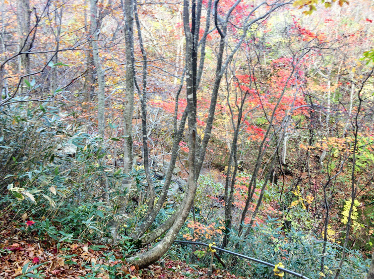 f:id:happydust:20161126211702j:plain f:id:happydust:20161126211702j:plain