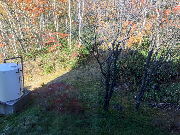 f:id:happydust:20161126212602j:plain f:id:happydust:20161126212602j:plain