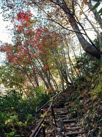 f:id:happydust:20161126214047j:plain f:id:happydust:20161126214047j:plain