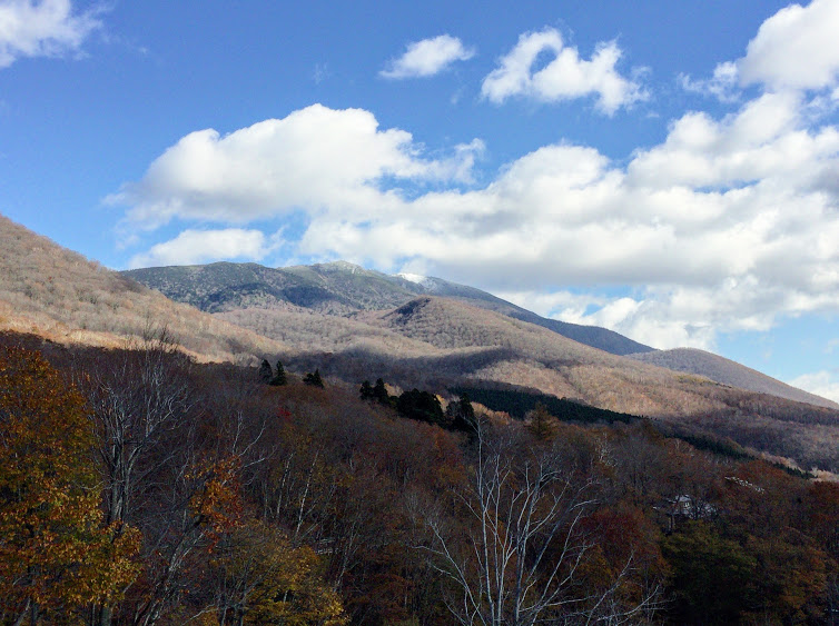 f:id:happydust:20161127014126j:plain f:id:happydust:20161127014126j:plain