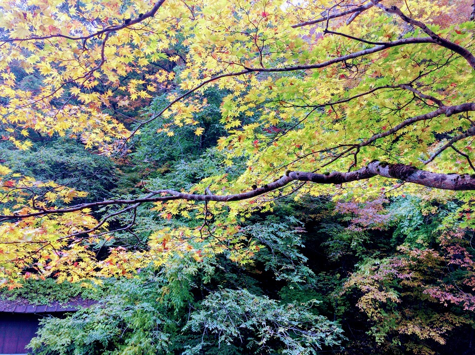 f:id:happydust:20161202221203j:plain f:id:happydust:20161202221203j:plain