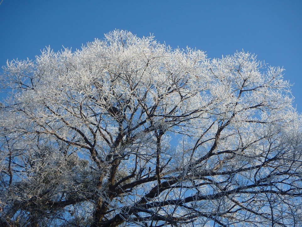 f:id:happydust:20170217232930j:plain f:id:happydust:20170217232930j:plain