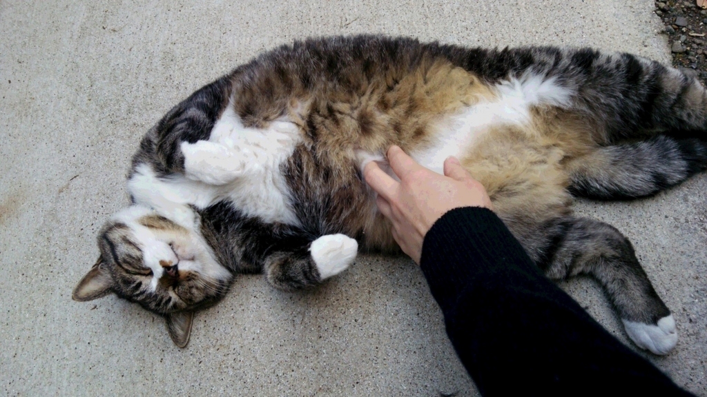 f:id:happydust:20170218013926j:plain f:id:happydust:20170218013926j:plain