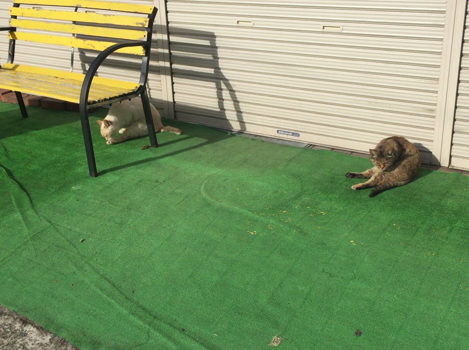 f:id:happydust:20170307010150j:plain