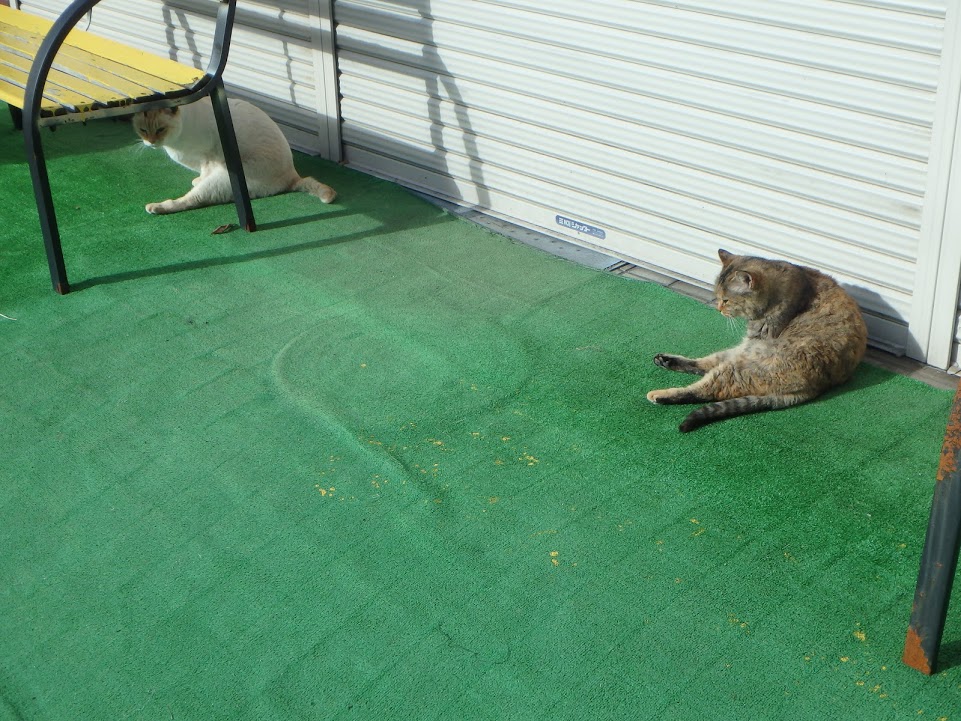 f:id:happydust:20170307010227j:plain