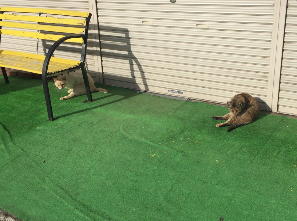 f:id:happydust:20170307010250j:plain