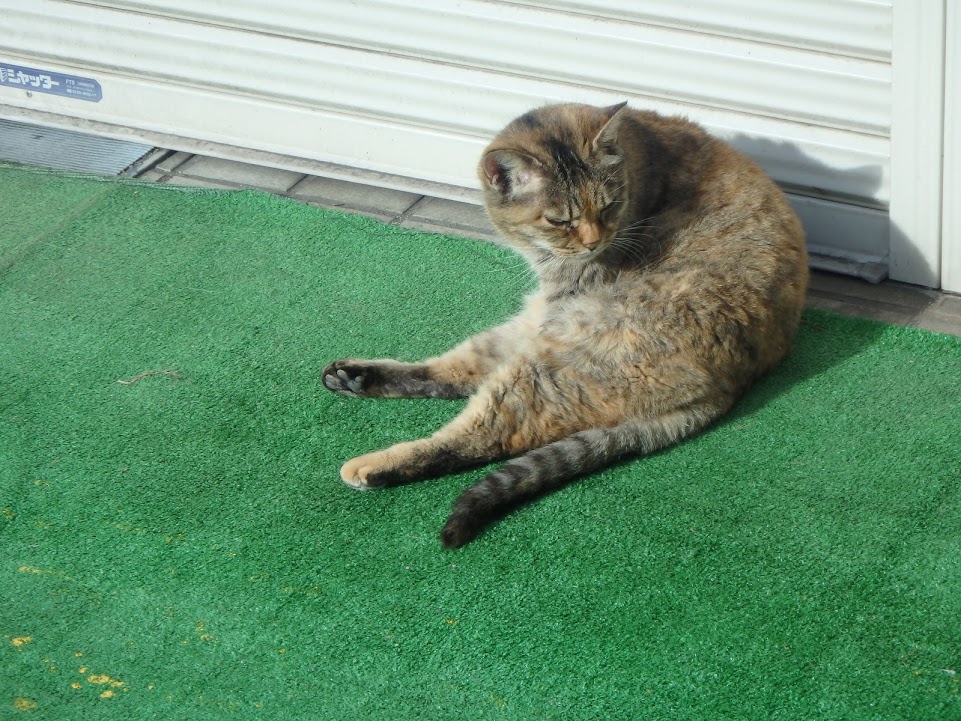 f:id:happydust:20170307010500j:plain