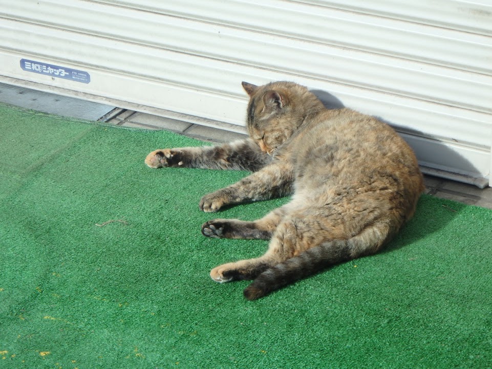 f:id:happydust:20170307010513j:plain