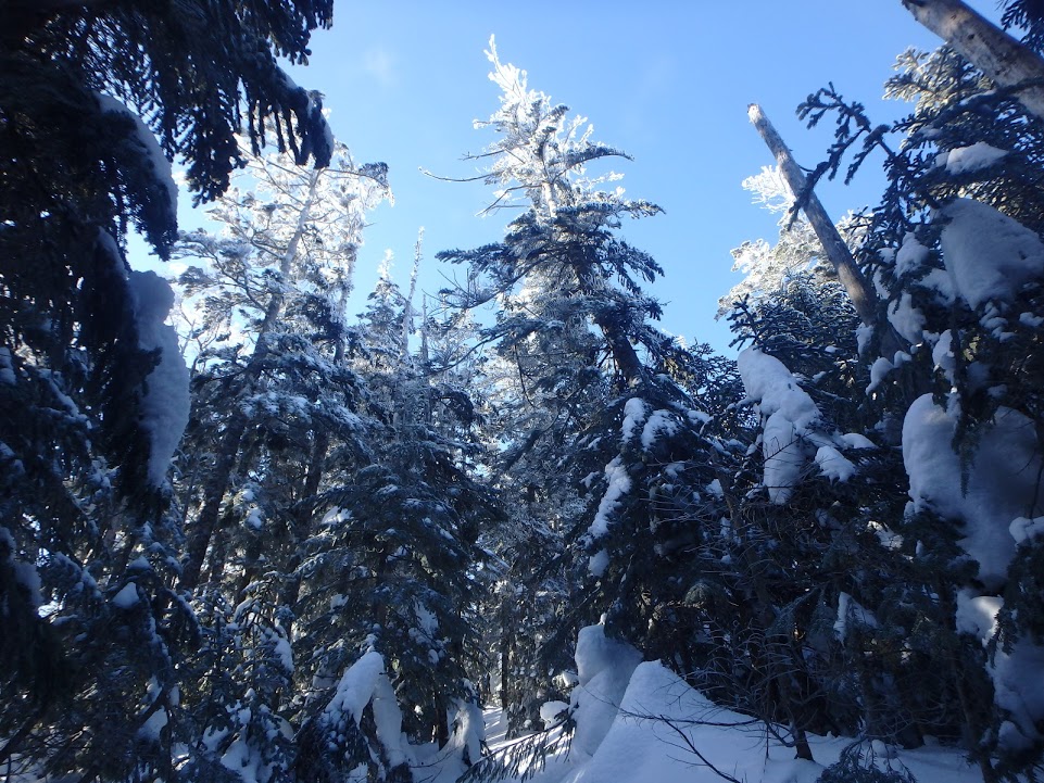 f:id:happydust:20170416221625j:plain