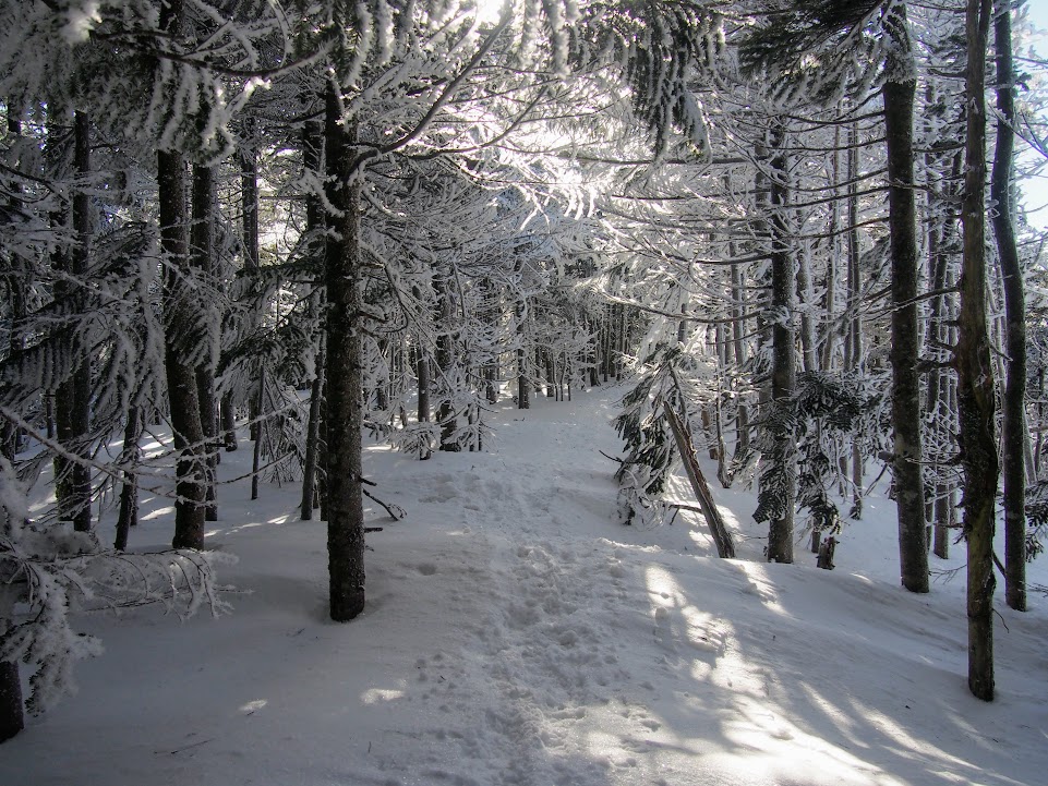 f:id:happydust:20170417182820j:plain