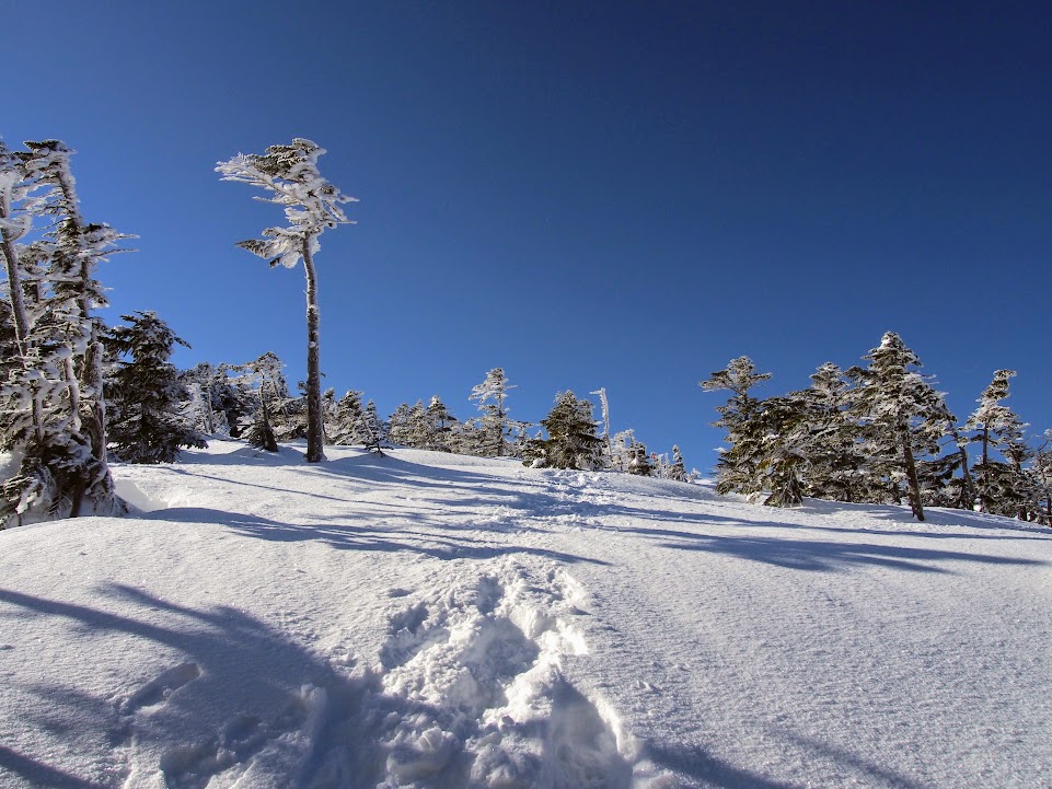 f:id:happydust:20170417183019j:plain