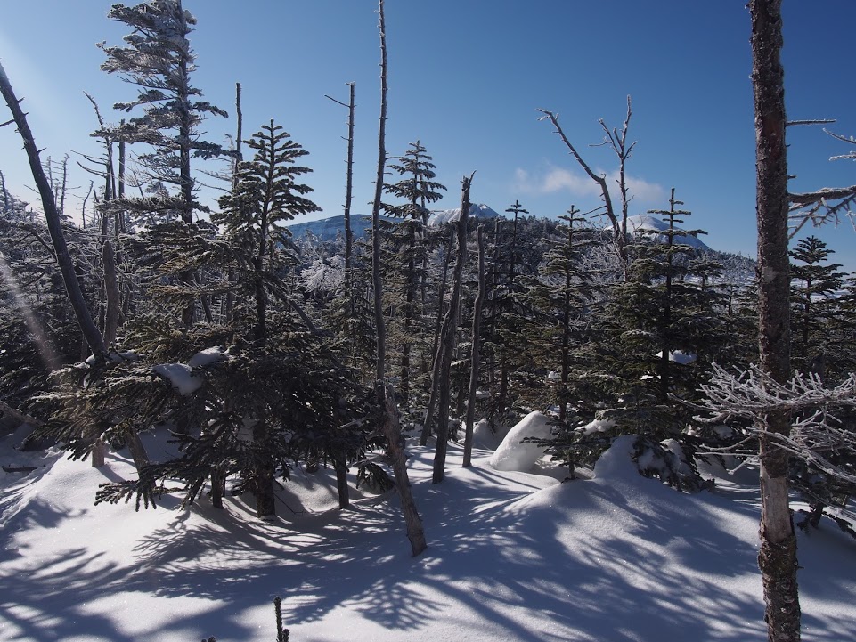 f:id:happydust:20170417223921j:plain