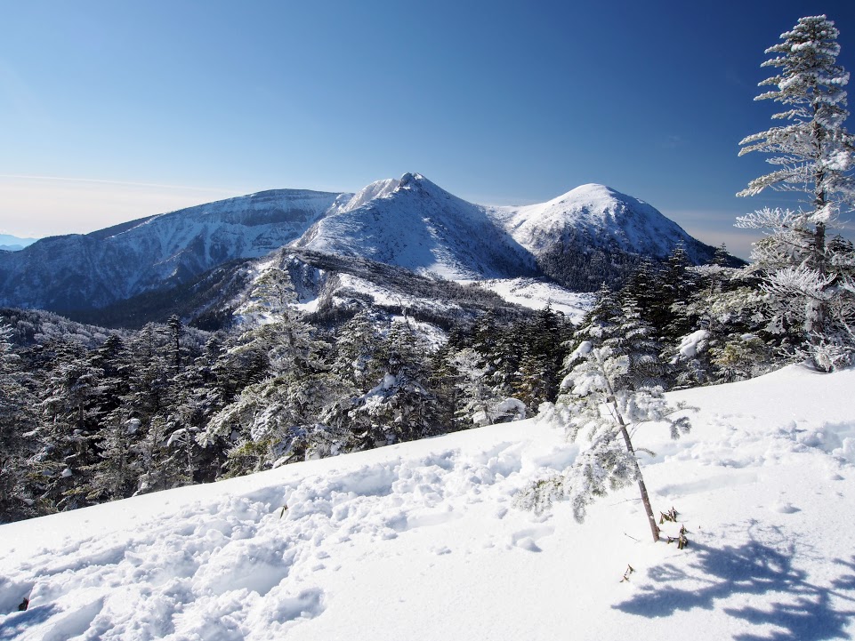 f:id:happydust:20170417232207j:plain