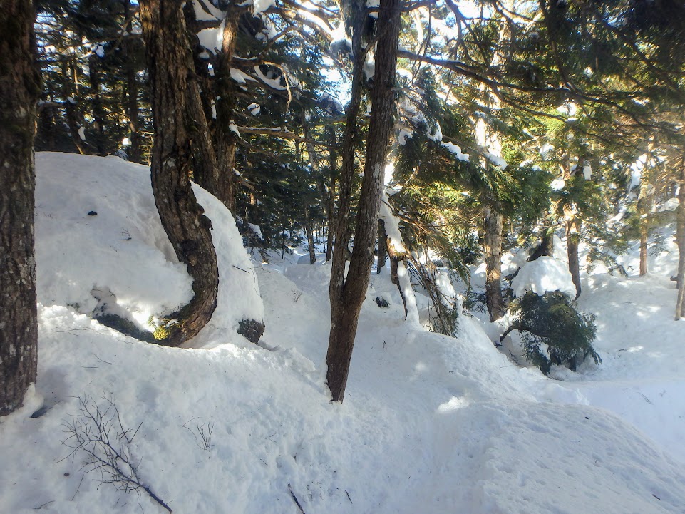 f:id:happydust:20170418212036j:plain