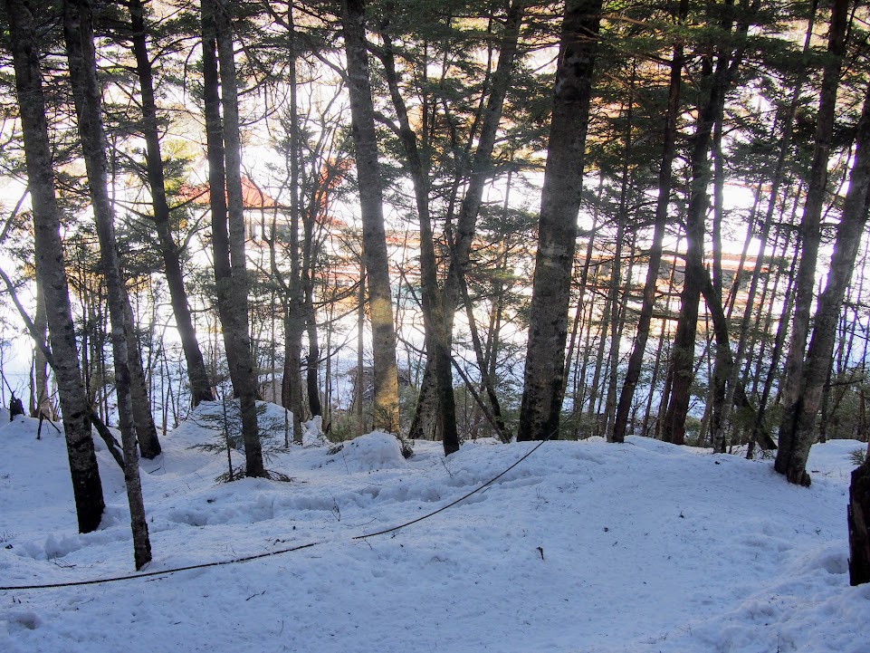 f:id:happydust:20170418214902j:plain