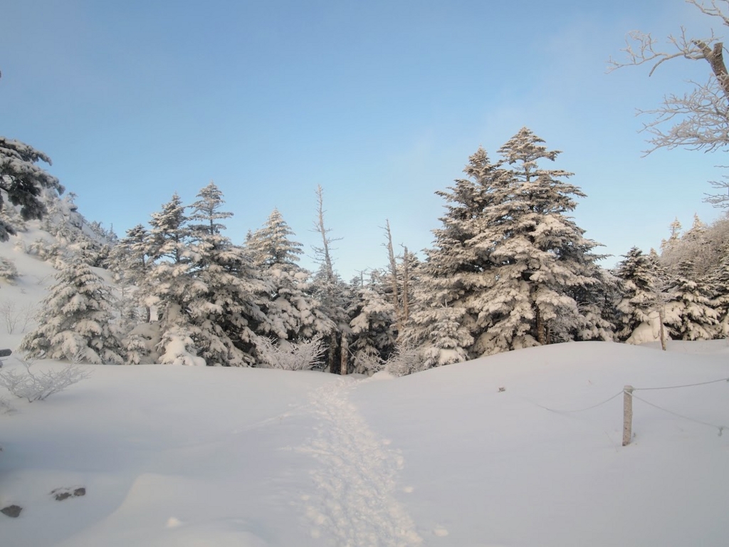 f:id:happydust:20170418230200j:plain