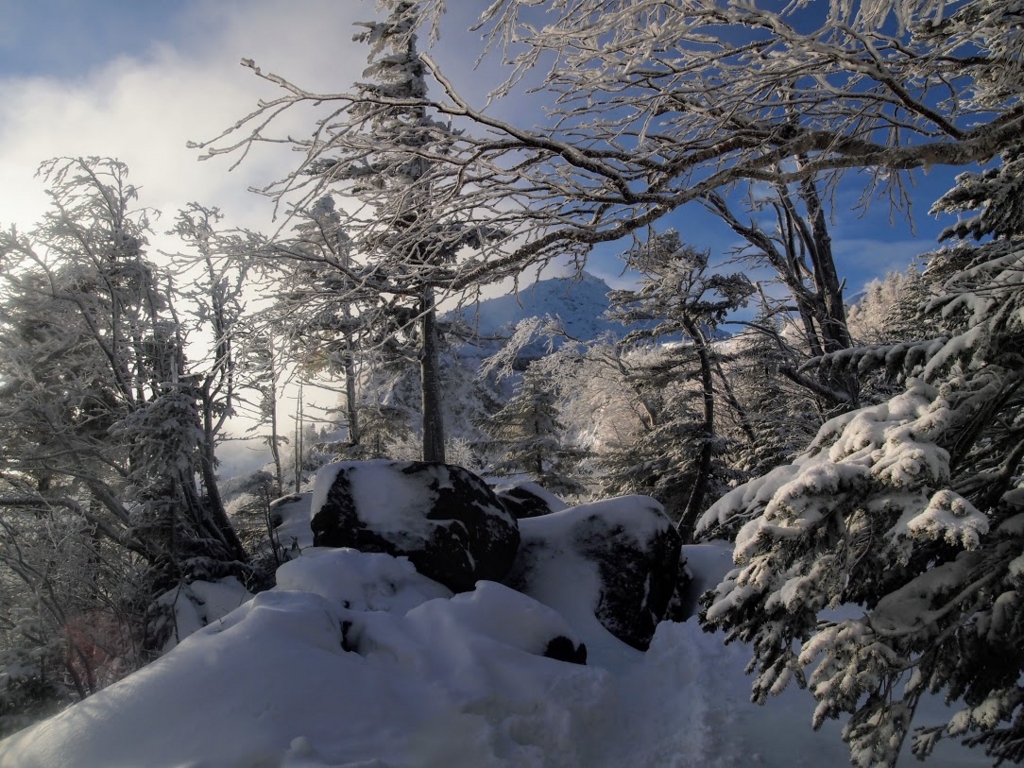 f:id:happydust:20170418230247j:plain