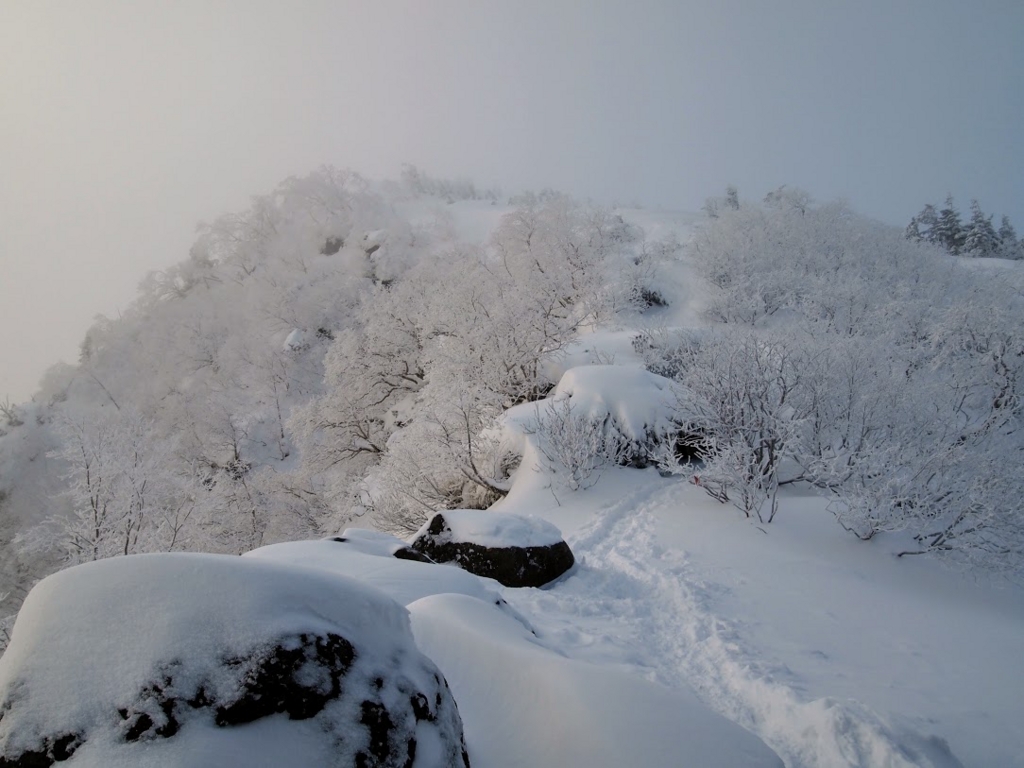 f:id:happydust:20170418230955j:plain