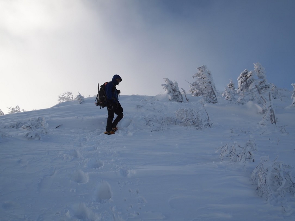 f:id:happydust:20170418231039j:plain