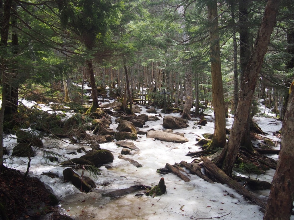 f:id:happydust:20170418232817j:plain