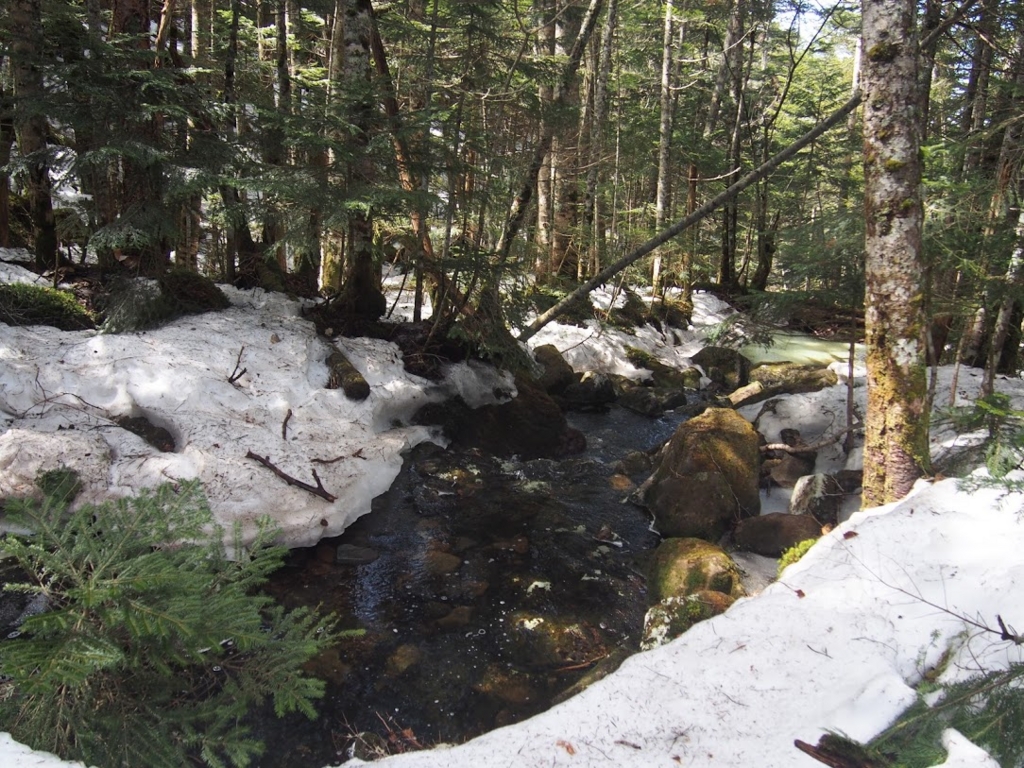 f:id:happydust:20170418232856j:plain