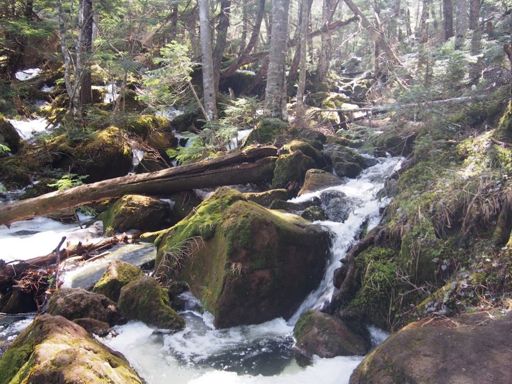 f:id:happydust:20170418232933j:plain